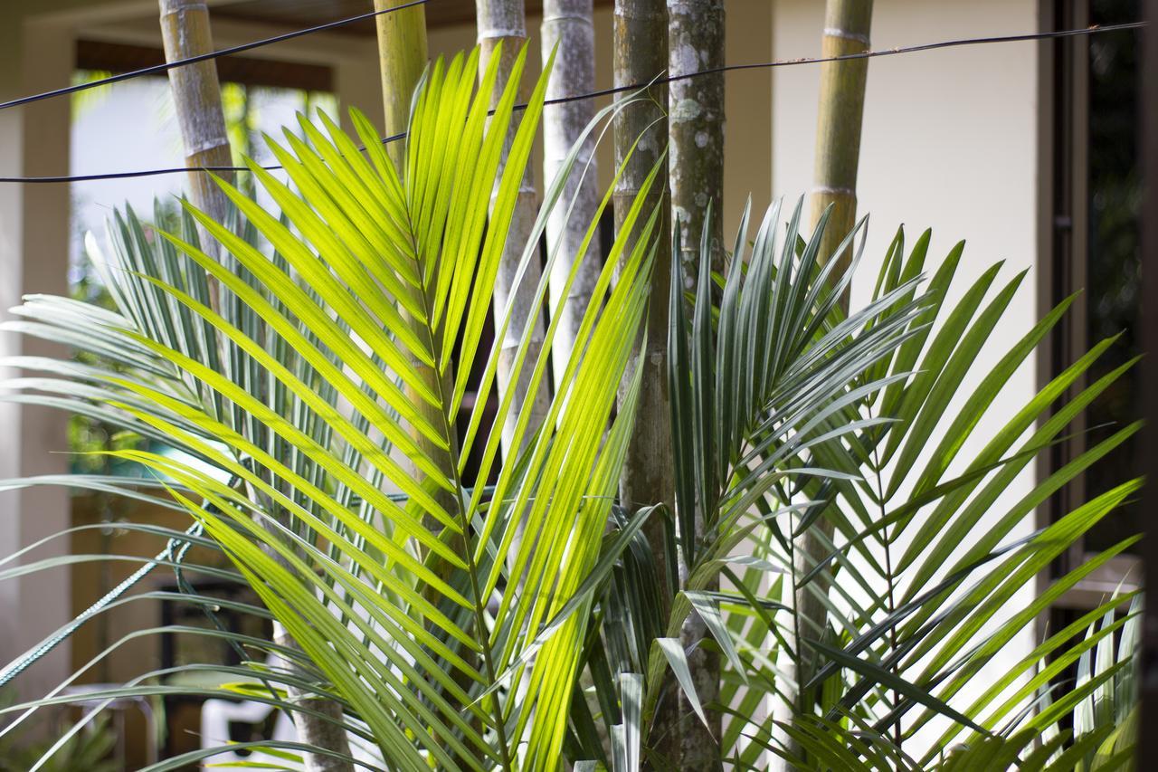 Family Bungalow Kamala Bagian luar foto